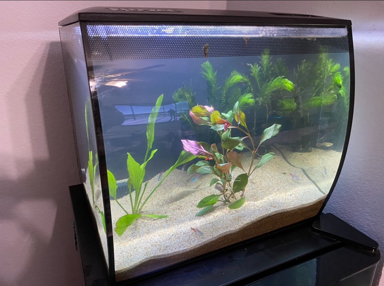 Fluval Flex 15 Gal Fish Tank With LED Lighting 