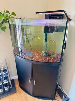 36 Gallon Freshwater Aquarium, filter and Assessories!!