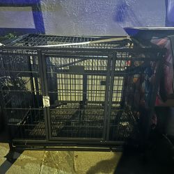 Dog Cage 