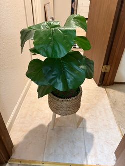 Faux Plant new
