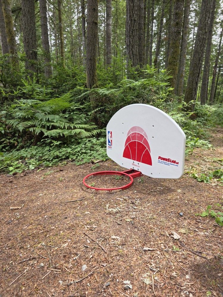 Retro 90s NBA Huffy Sport Fiberglass Basketball Backboard and Rim