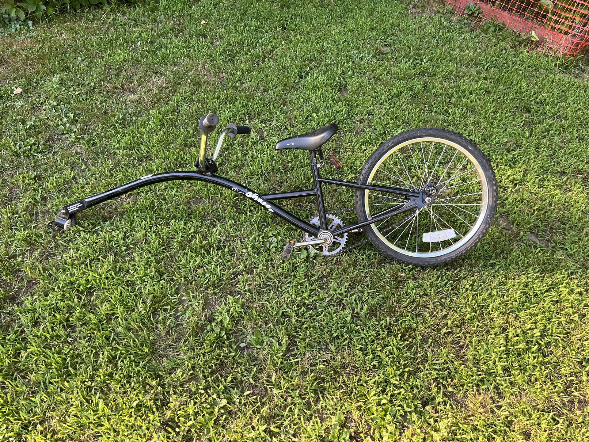 Trail Along Bike