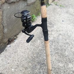 Fishing  Rod And Reel Combo (Penn)