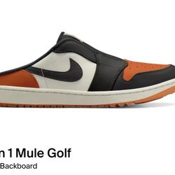 Nike Air Jordan Mule FJ1214 800 Size 10.5