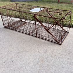Chicken Cage