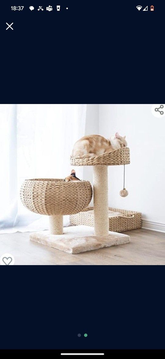 Brand New Cat Tree