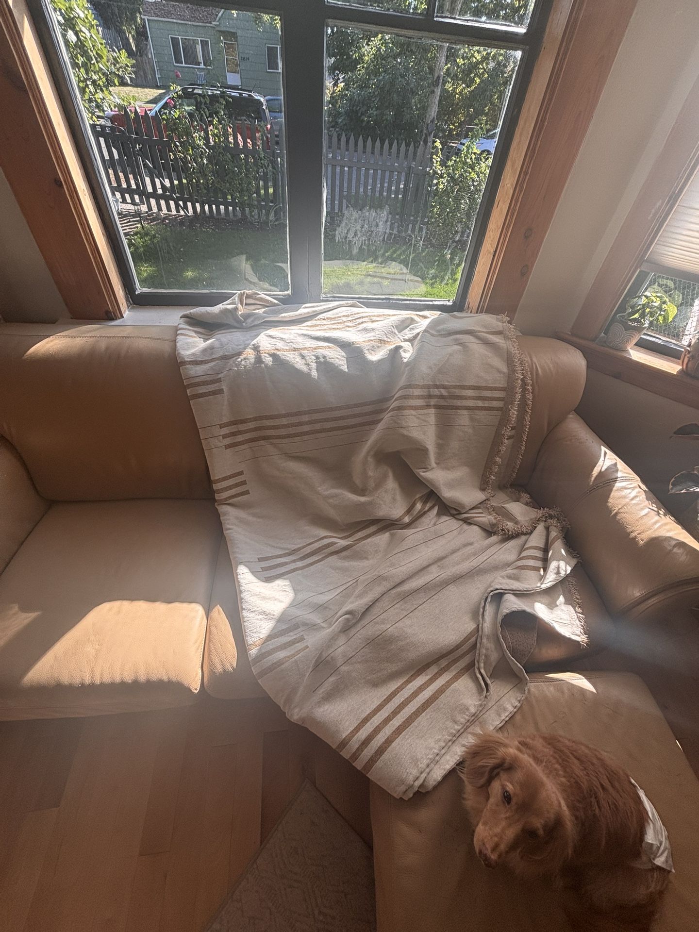 Sturdy, Well Built Leather Couch