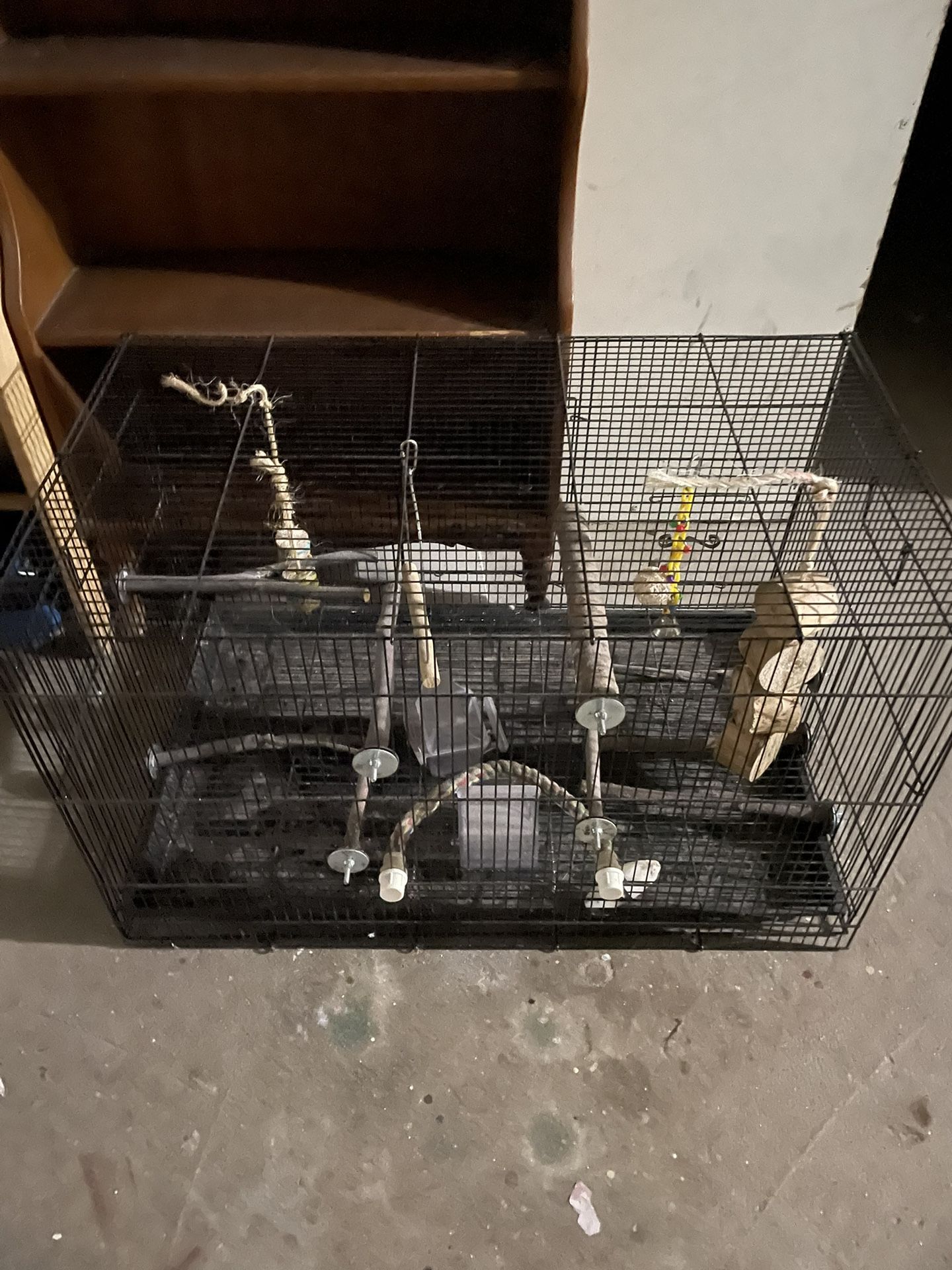 Bird Cage