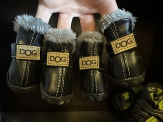 Small Dog Shoes