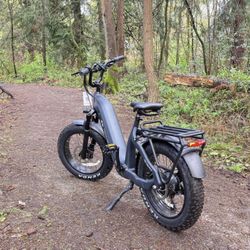 Ebike