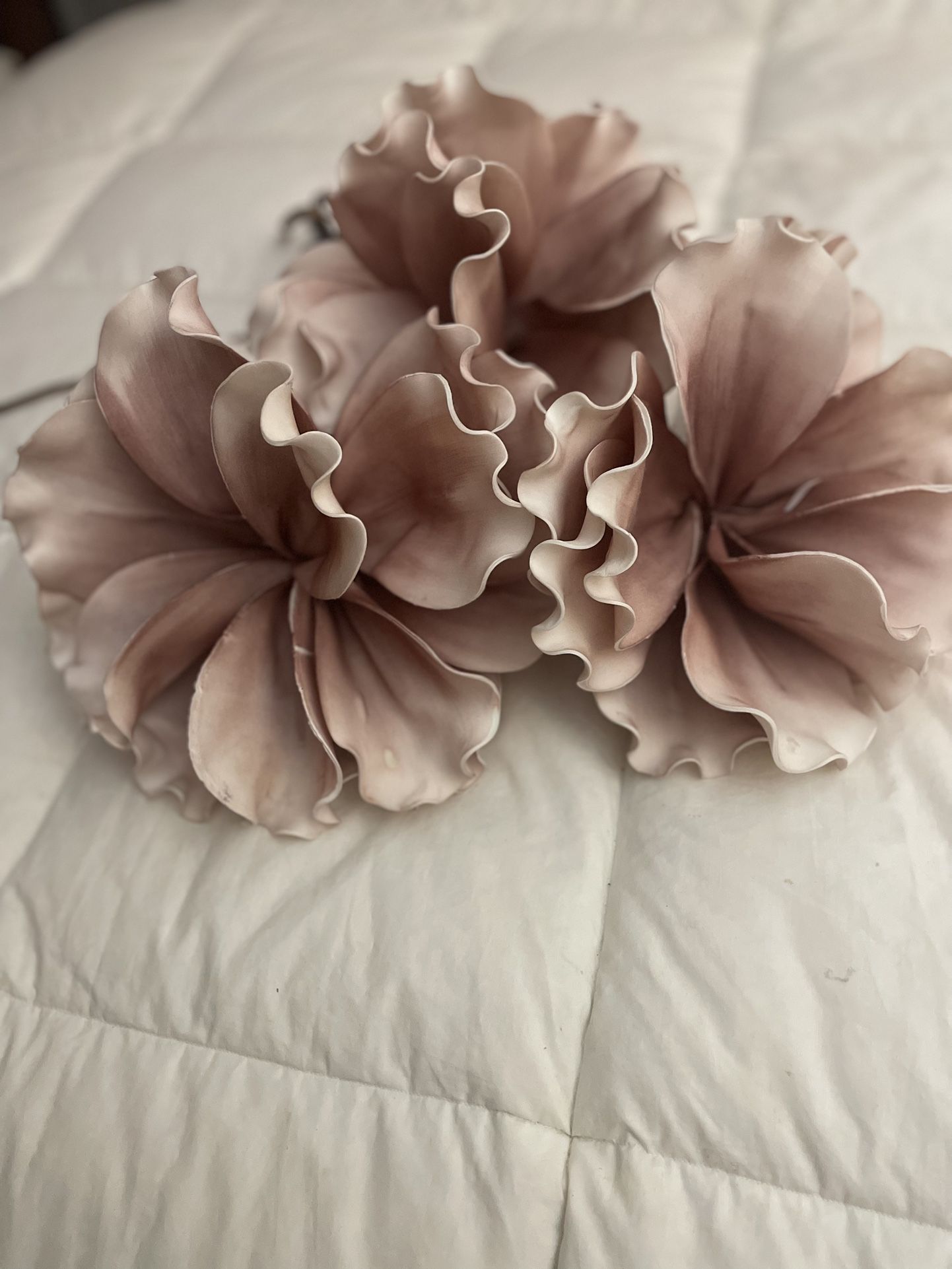 Beautiful Soft Mauve Foam Large Flowers