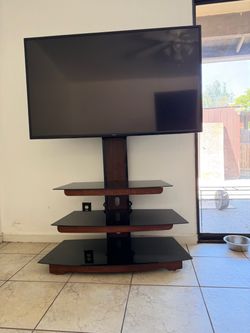 Vizio Flat Screen TV with 3-Tier Stand