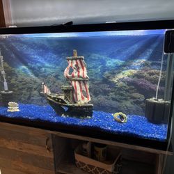 50 Gallon Fish tank