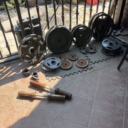 Weights Barbells And Racks 