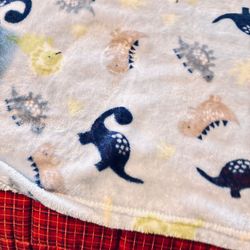 This too, baby blanket or dinosaur theme