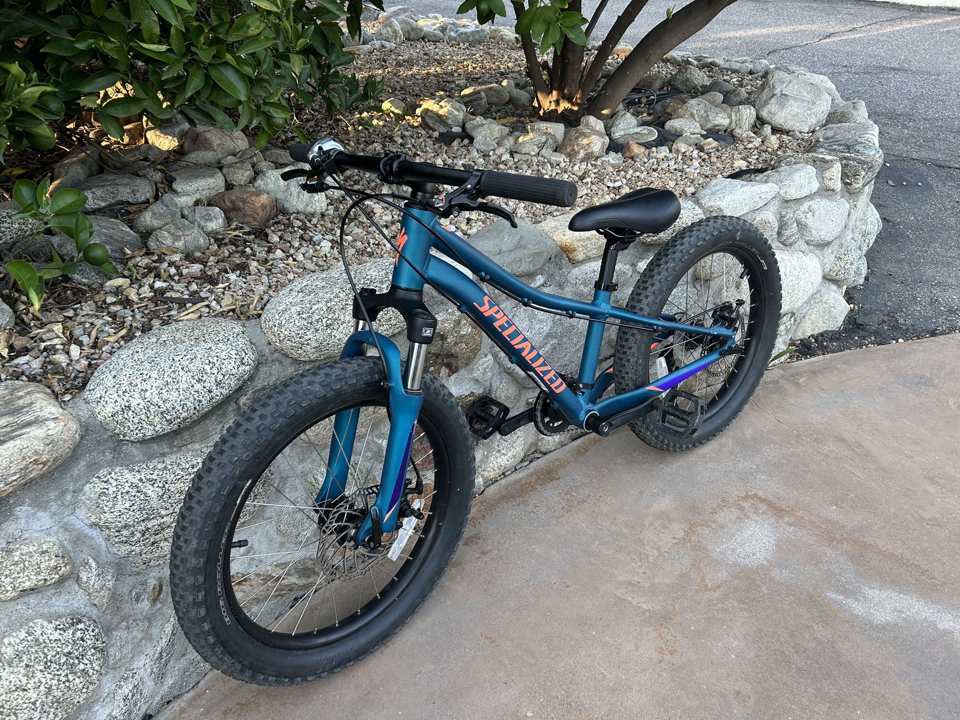 Specialized 20”