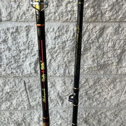 Deep Sea Fishing Rods -Used Once!