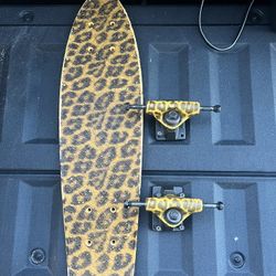Penny Board Setup