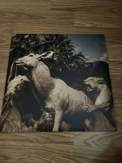 Interpol- Our Love To Admire Vinyl 