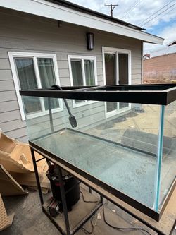 Large Glass Aquarium with Metal Stand