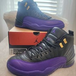 Nike AIR JORDAN 12 ( SIZE 10.5 ) 