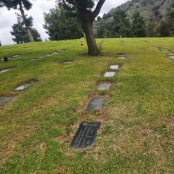 Plot For Sell By Owner 