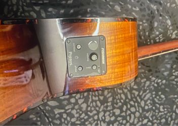 Breedlove  Acoustic guitar