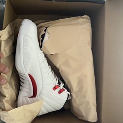 Air Jordan 12s 