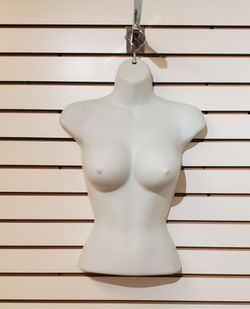 White Female Torso Mannequin Form