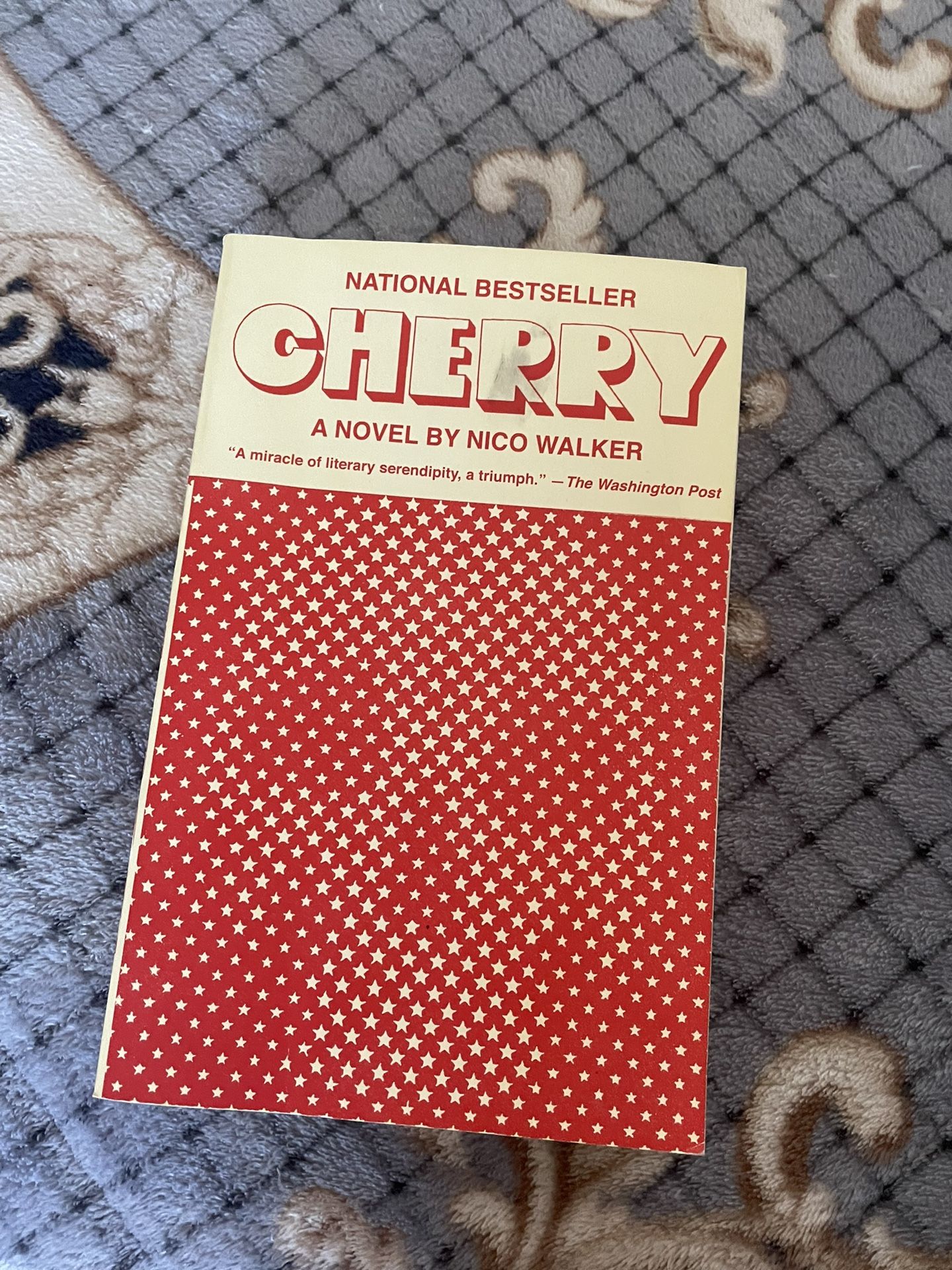 Cherry by Nico Walker book