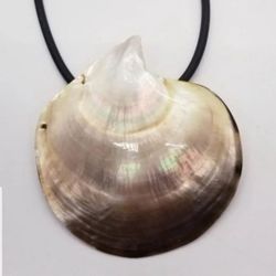 Glazed Clam Shell Pendant Necklace
