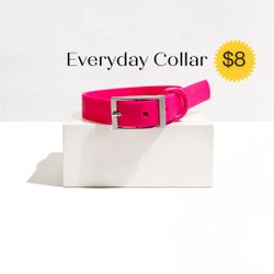 Dog Collar