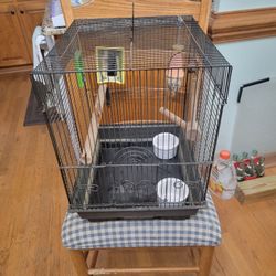 Bird Cage 