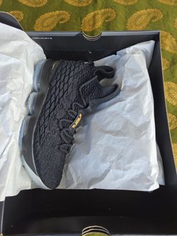 LEBRON XV (DS)