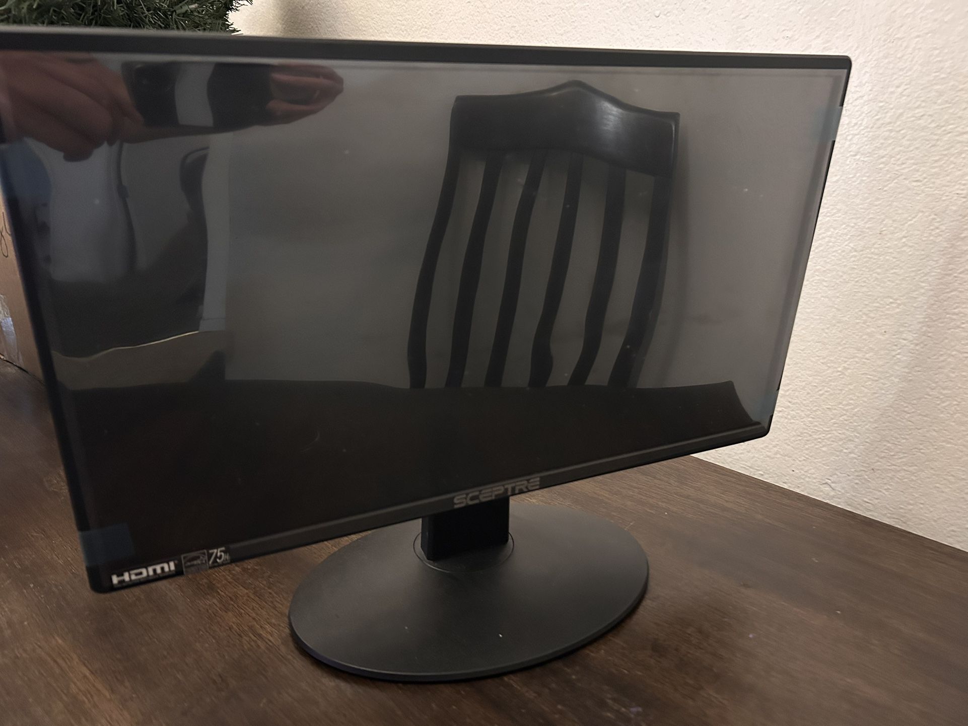 Sceptre computer Screen 