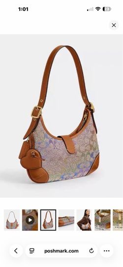 Coach Hobo Rainbow Signature