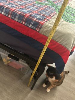 Full mattress