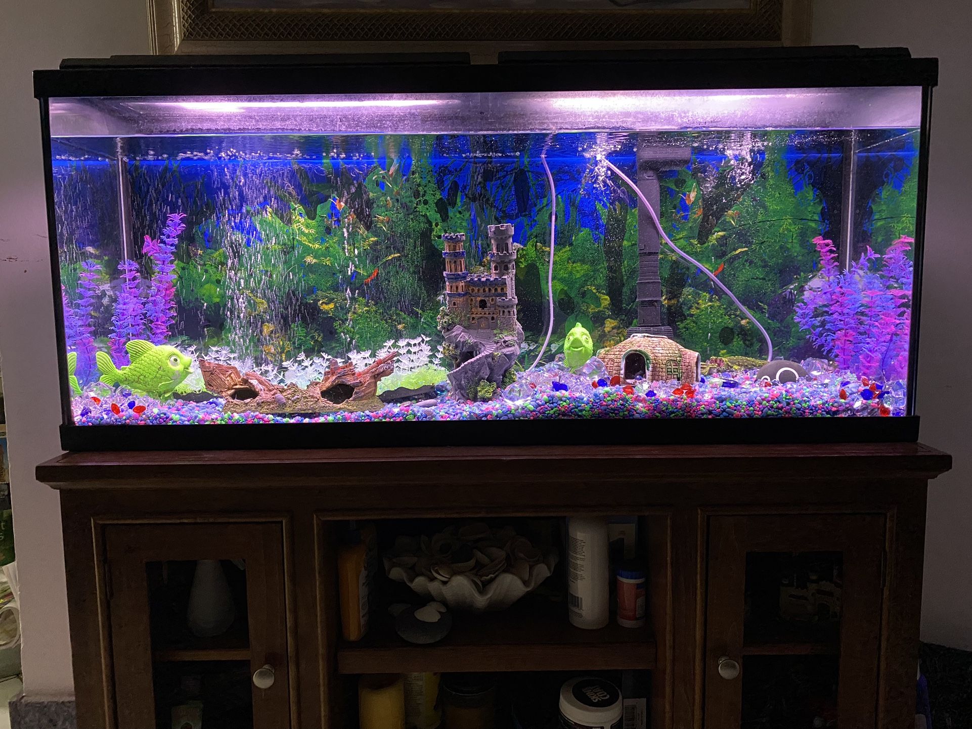 Fish Tank With Table for Sale in Pompano Beach, FL - OfferUp
