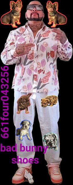 Bad Bunny French Shoes For Isab Fluff