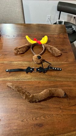 Dog Costume