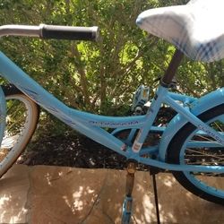 Aluminium  Beach Cruiser 