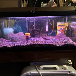 20 Gallon Long Aquarium and accessories 