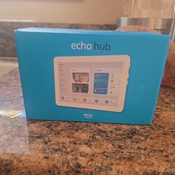 Echo Hub 