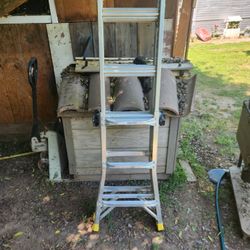 Little Giant Ladder 