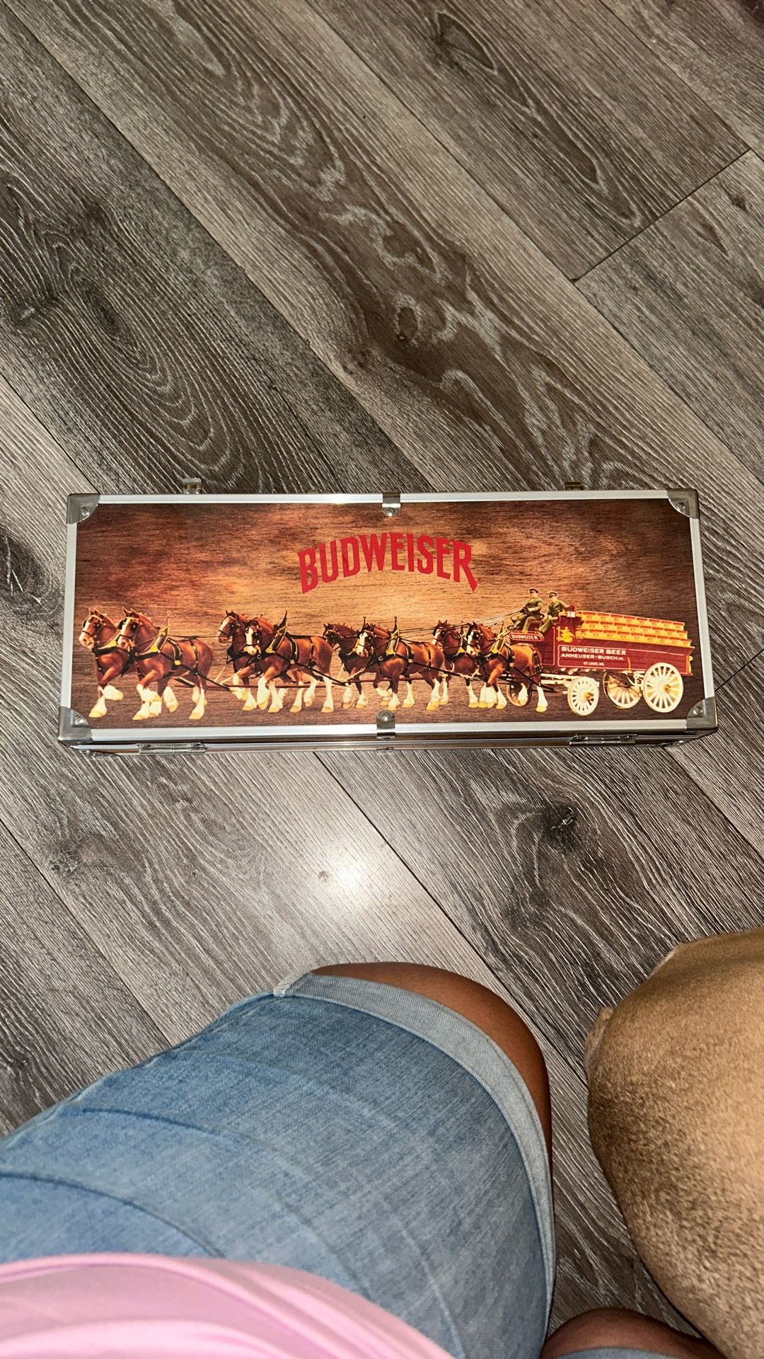 Budweiser Grill Kit