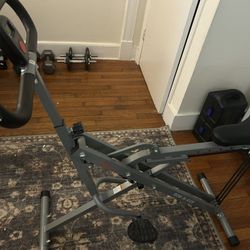 Sunny Health & Fitness Upright Row-N- Ride Exerciser