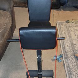 FREE Weight Bench 