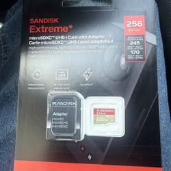 Scandisk 256GB MicroSDX Card 