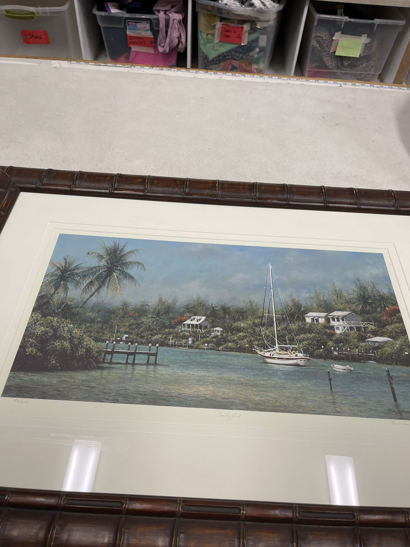 Tripp Harrison Hand Signed Palm Island Pictures