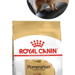 Pomeranian Dog Food